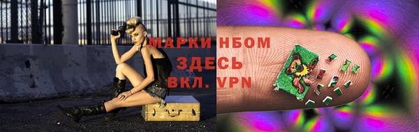 стафф Михайлов
