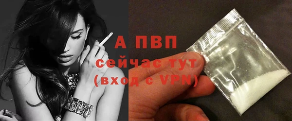 мяу мяу мука Ахтубинск