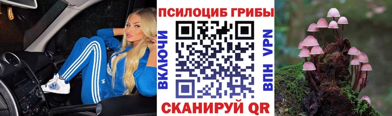 Псилоцибиновые грибы прущие грибы  Бологое 